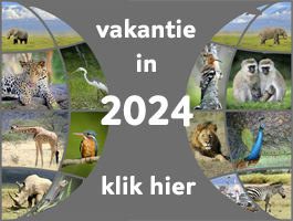 Al vakantieplannen voor 2024, laat het ons nu reeds weten door hier te klikken voor meer informatie!